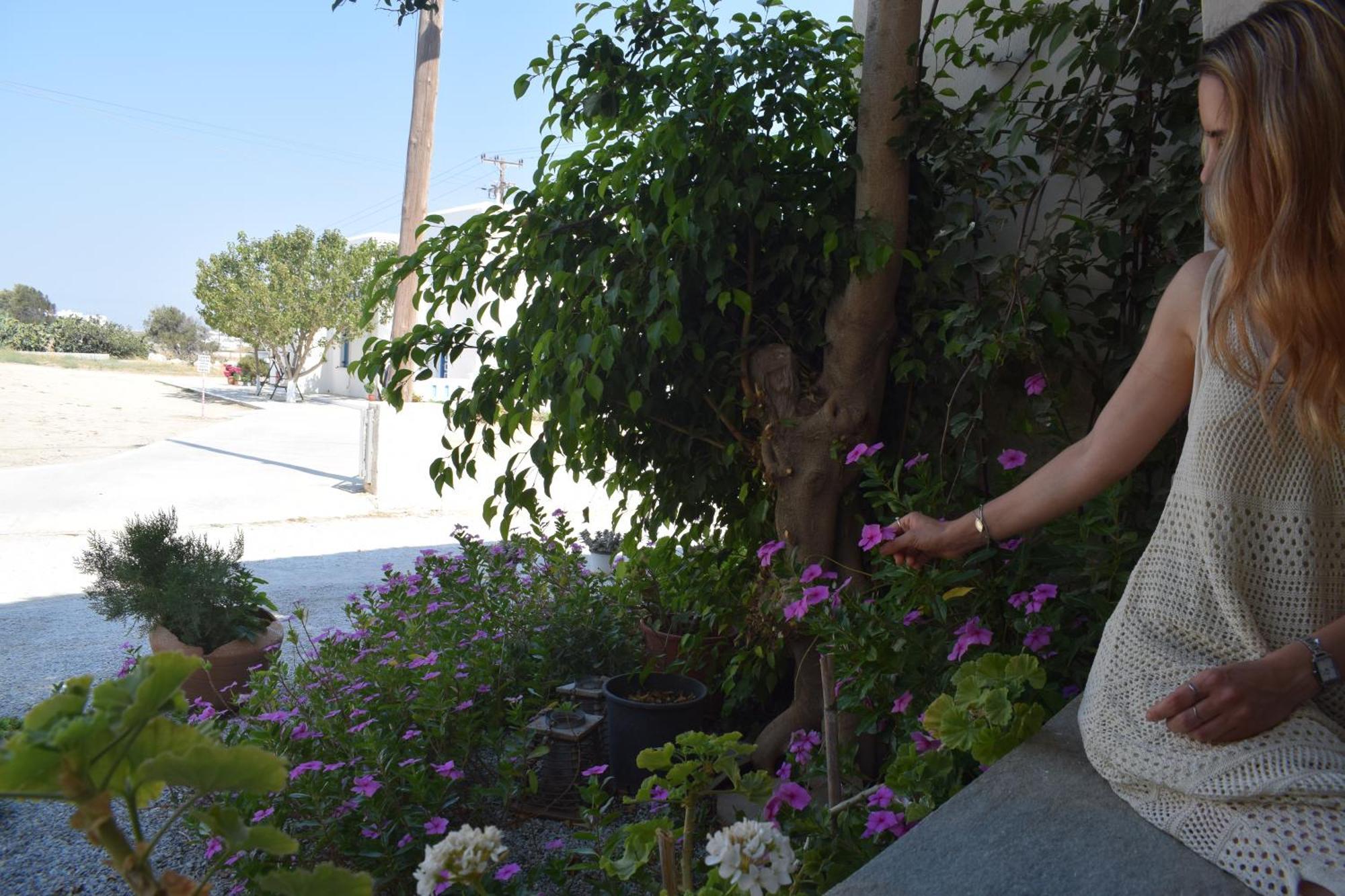 Birbas Hotel Agia Anna  部屋 写真